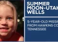 Disappearance of Summer Wells